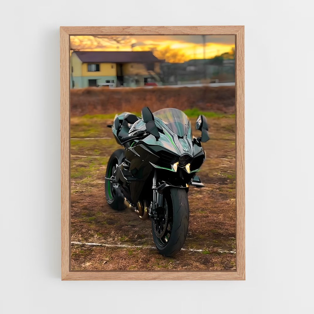 Poster incroyable Ninja h sx (vue 4)